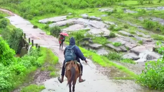 టీచర్, గుర్రం