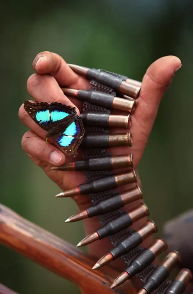 Bir paralimiterin eline konmuş kelebek