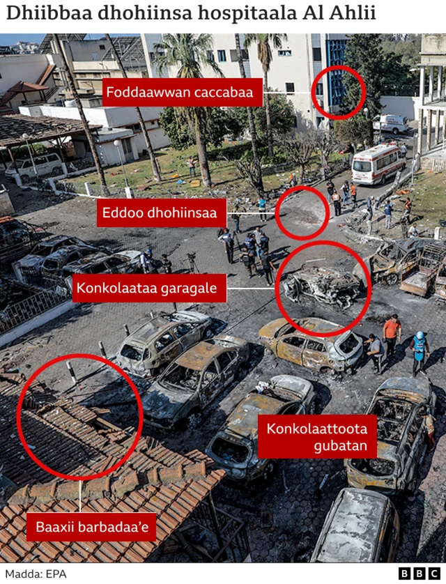 Haleellaa hospitaala Gaazaatti mudateen booda bakki sun kan fakkaatu