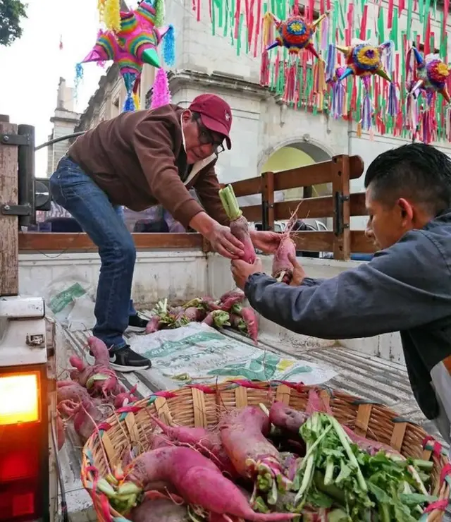 Predaja rotkvica na Zokalu u Oahaki