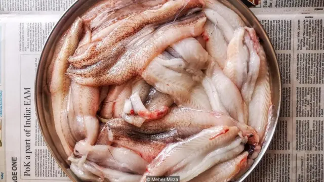 బాంబే డక్