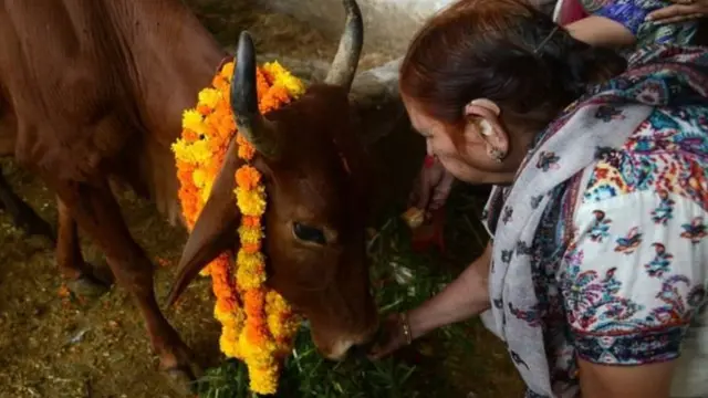 ඉන්දියානුවන් බහුතරයක් හින්දු භක්තිකයන් වන අතර ඔවුහු ගවයා දේවත්වයේ ලා සලකති