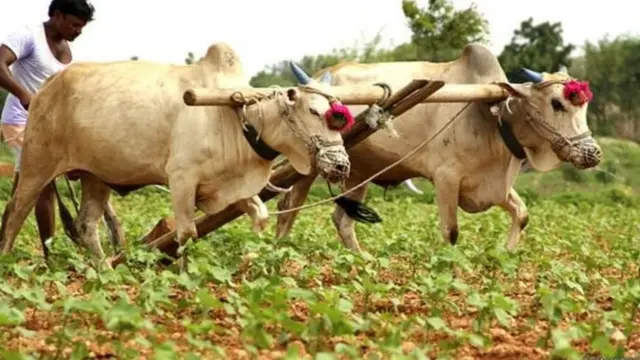 खेती करता किसान