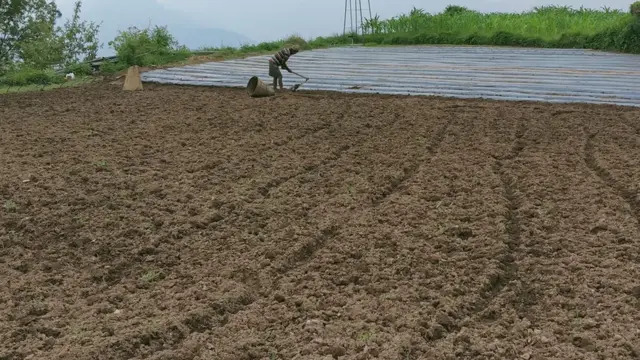 जग्गा जमिन