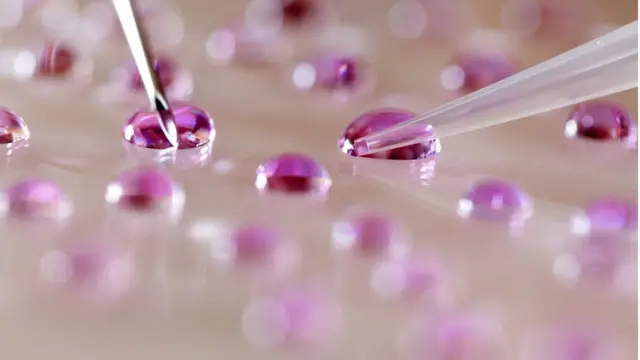 কৃত্রিম পরিবেশে শুক্রাণু ও ডিম্বাণু নিষিক্ত করে জরায়ুতে প্রতিস্থাপন করা