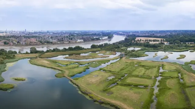 블루 처방 참가자들은 런던 습지 센터를 가이드와 함께 산책한다