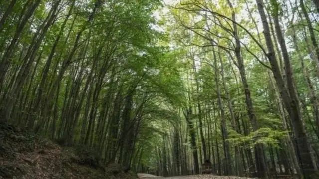 Baarayaasha oo maydkii ka raadinaya kaynta Belgrad