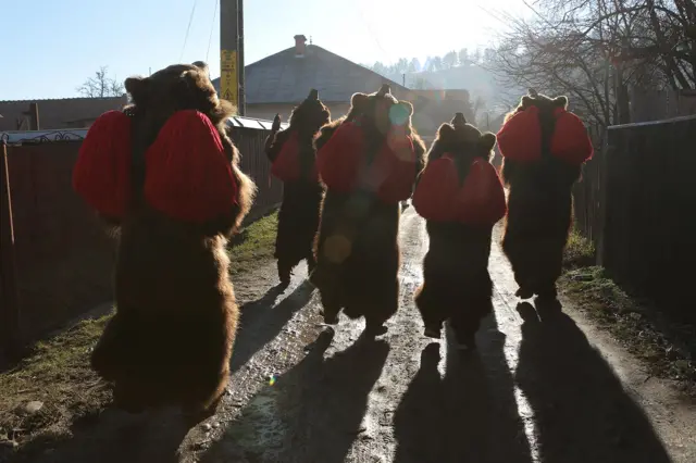 U prošlosti bi grupe koje su se brojale između šest i 24 učesnika posećivale svako seosko domaćinstvo. Ovoga puta grupa praćena zvucima doboša kao i snažnim pucnjima iz prangija prolazi kroz glavne ulice Darmaneštija pre nego što se uputi ka stadionu na kojem se nalazi bina.