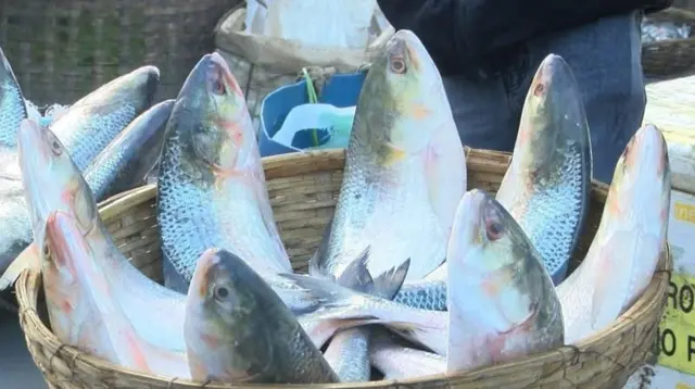 দাম বেশি হওয়ায় বিক্রিও কম বলে জানাচ্ছেন ব্যবসায়ীরা