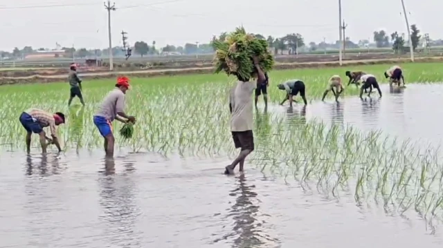 ਡਾਰਕ ਜੋਨ 