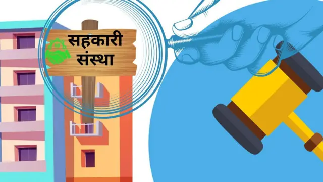 सहकारी संस्था नियमनको स्केच