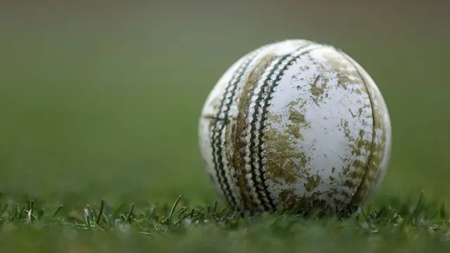 క్రికెట్ బాల్ 