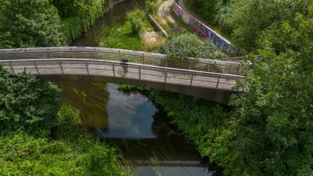 एउटा पैदल यात्रु हिँड्ने पुल वरिपरिको हरियाली र बगिरहेको नदीको आकाशबाट खिचिएको फोटो। पुलमाथि एक मानिस उभिएर तल पानी हेरिरहेका छन् 