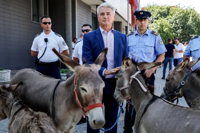 magaraci, advokat doveo magarce ispred skupštine