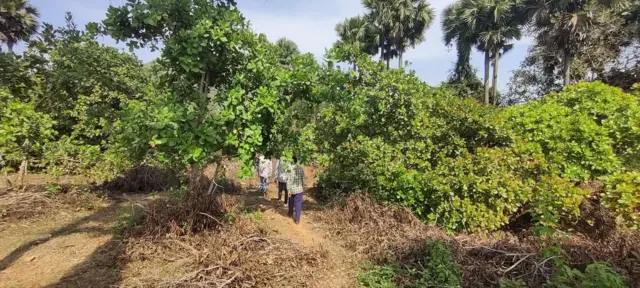 రైల్వే జోన్ కోసం ప్రతిపాదించిన భూమలు