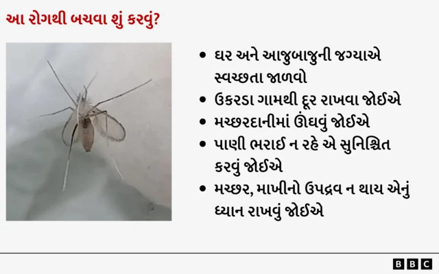 બીબીસી ગુજરાતી, ગુજરાત, બીબીસી, અમદાવાદ, હેલ્થ, સ્વાસ્થ્ય