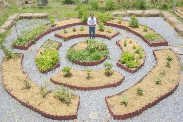 เดชา ศิริภัทร