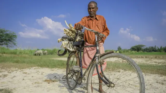 हड्डियां