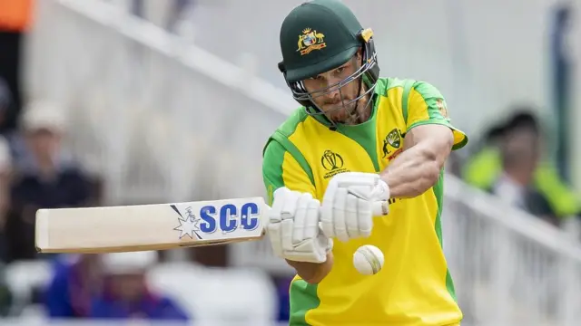 கோல்டர்-நைல்