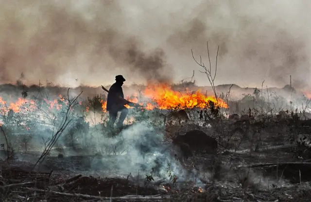 Rodovia Cuiabá-Santarém. 2017