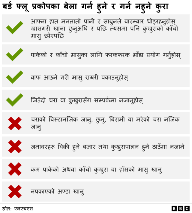 बर्ड फ्लूको प्रकोपका बेला गर्न हुने र नहुने कुरा 