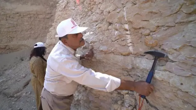 فوسل کی تلاش میں مشغول ماہرین حیاتیات