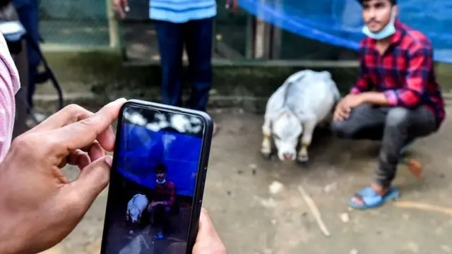 બાંગ્લાદેશમાં રાની એક સેલિબ્રિટી બની ગઈ છે