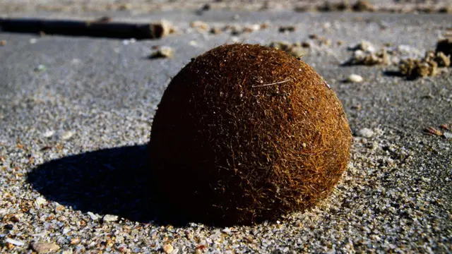 Bolas de Netuno