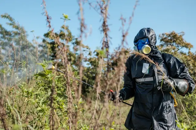A soldier sprays plants with insecticides