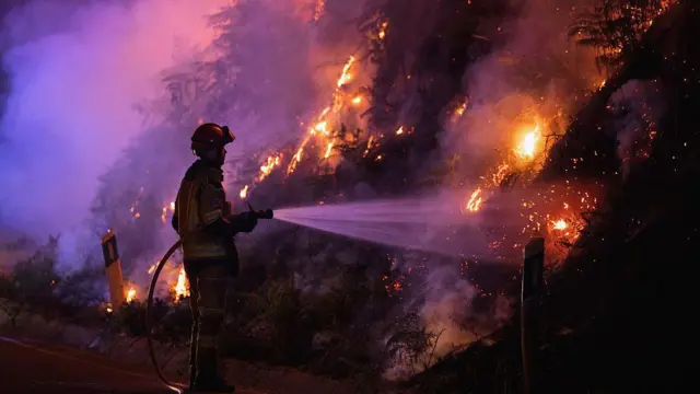 Пожарный со шлангом тушит горящую траву на склоне холма