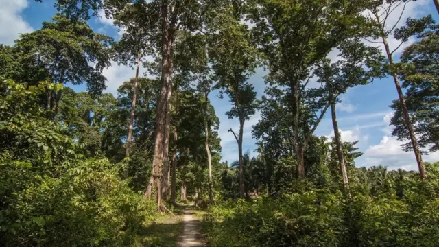 भुतहा द्वीप, कालापानी, अंडमान द्वीप, हिंद महासागर