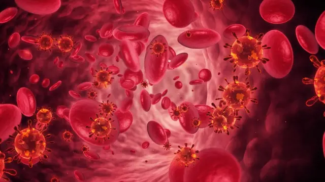 Ilustración de glóbulos rojos.