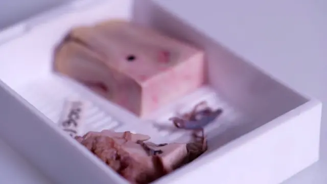 Chunks of brain tissue