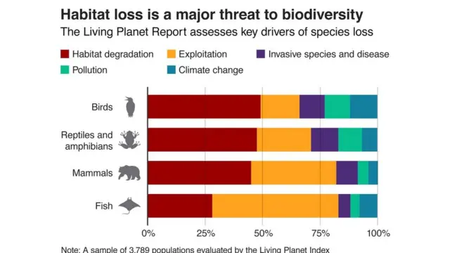சூழலியல் மீதான தாக்குதல்: 'அழியும் உயிரினங்கள்' - எச்சரிக்கும் வல்லுநர்கள்