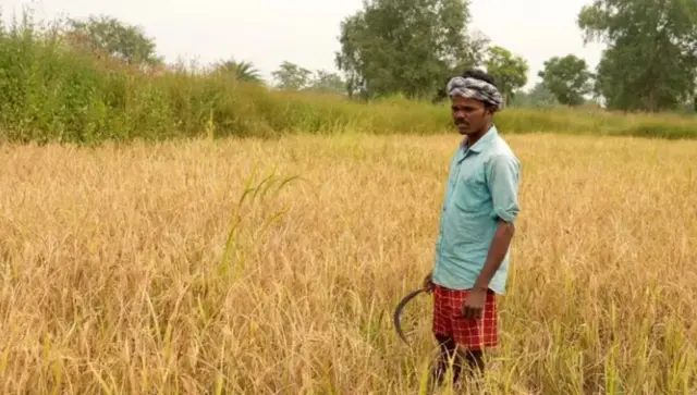 ஒடிஷா பஞ்சம்