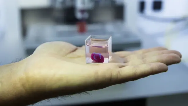 Corazón impreso 3D.