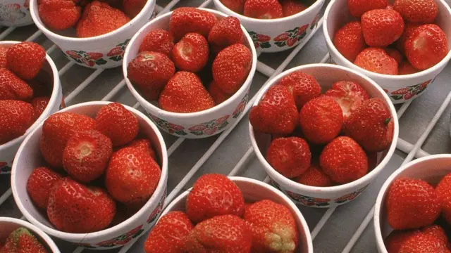 विम्बल्डन चॅम्पियनशिप, ऑल इंग्लंड क्लब, स्पर्धेचा इतिहास आणि परंपरा