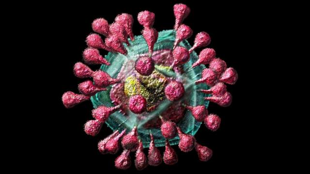 冠状病毒模拟图