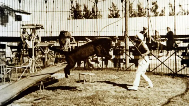 దామూ ధోత్రె