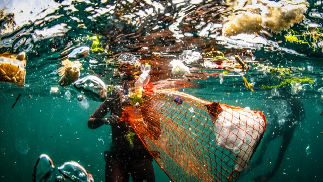 Imagen bajo agua de una persona que recoge plástico en el mar