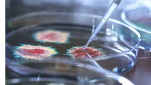 કોરોના વાઇરસ પરિવારના તમામ વાઇરસ ઉપર અસર કરે તેવી રસી માટે વિશ્વની 20 કરતાં વધુ ટીમ પ્રયાસરત્