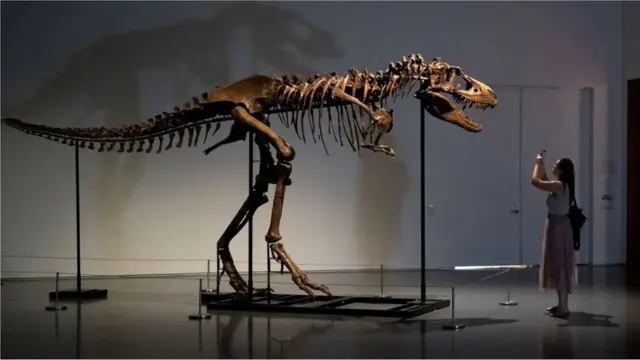 డైనోసర్