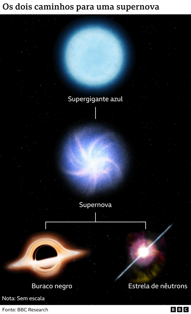 infográfico