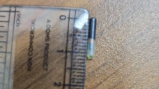 தெருநாய்கள் - மைக்ரோ சிப் டெண்டர் ரத்து