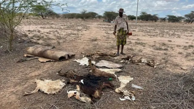 બીબીસી ગુજરાતી, ગુજરાત, બીબીસી, અમદાવાદ, આફ્રિકા, દુષ્કાળ, ભૂખમરો