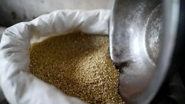 শস্যদানা