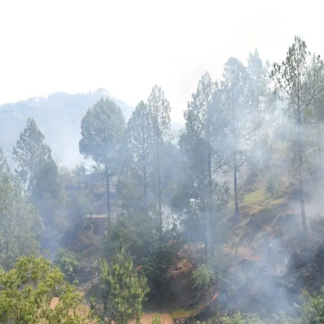 उत्तराखंड