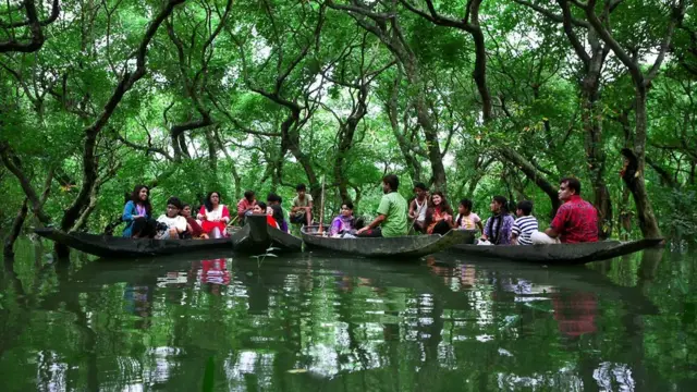 সম্প্রতি সিলেটের রাতারগুল হয়ে উঠেছে পর্যটকদের নতুন গন্তব্য।