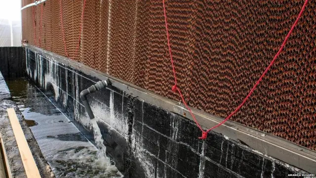 रेगिस्तान में खेती