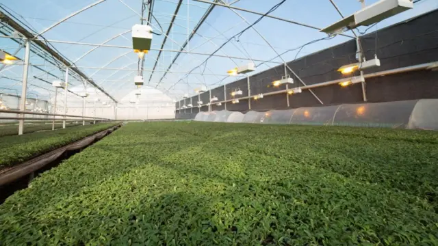 Т. Токтогазиев: Негизги маселе "муну жегенге болбойт, жок кылуу керек" десе, алар жөн эле таштанды болуп калганча кандай баада болсо да Кыргызстанга сатылып кетсин, аларга боло берет деген мамиле болуп жатат